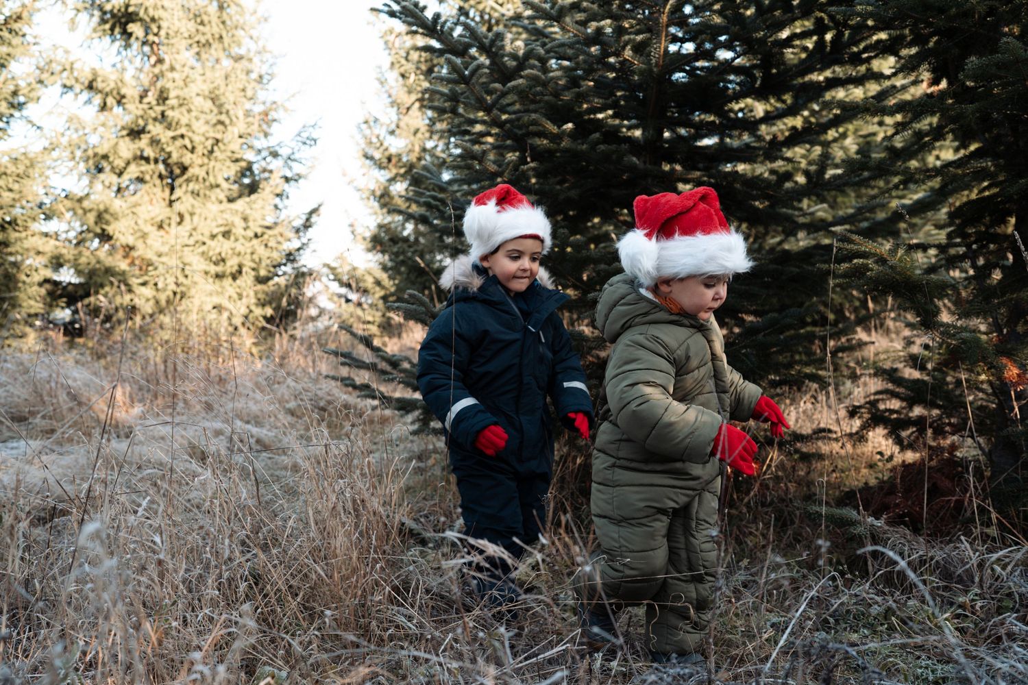 Zwei Jungs mit Weihnachtsmütze laufen durch den Winterwald. Familienfotografie Gießen - Coffee and Stories Fotografie