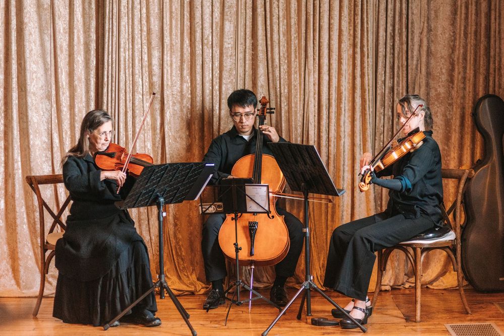 Classical musicians perform on stage with string instruments in a concert hall setting.
