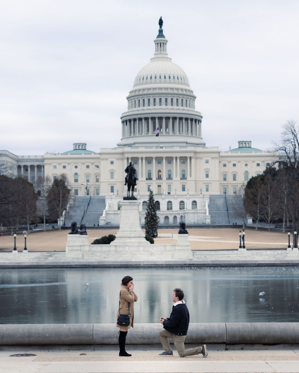 Marriage proposal scene with US Capitol building and reflecting pool in background.