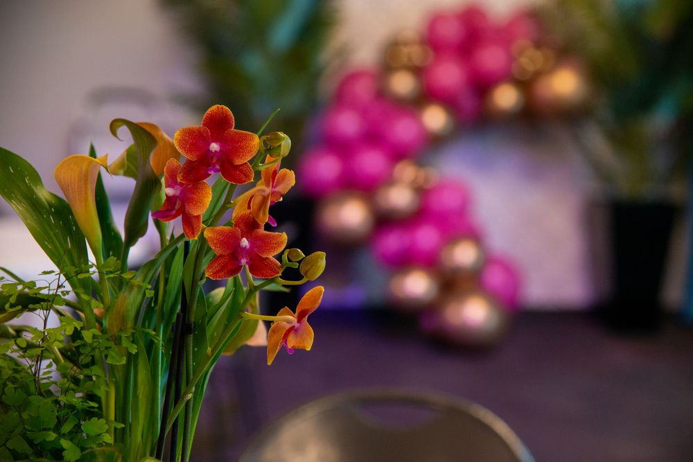 Vibrant pink and orange flowers arranged with green foliage in soft focus.
