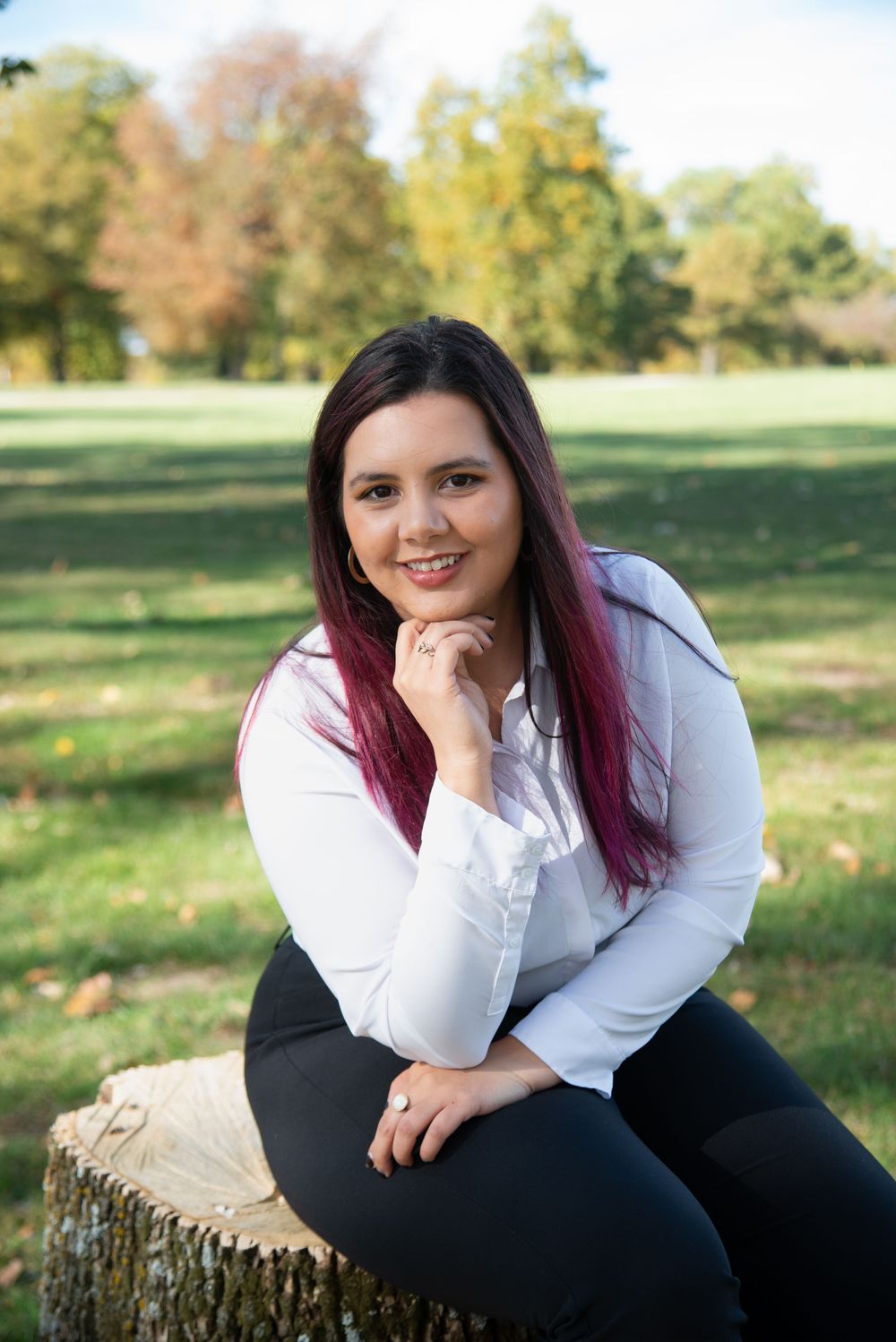 Outdoor portrait series on a tree stump with fall foliage in background.