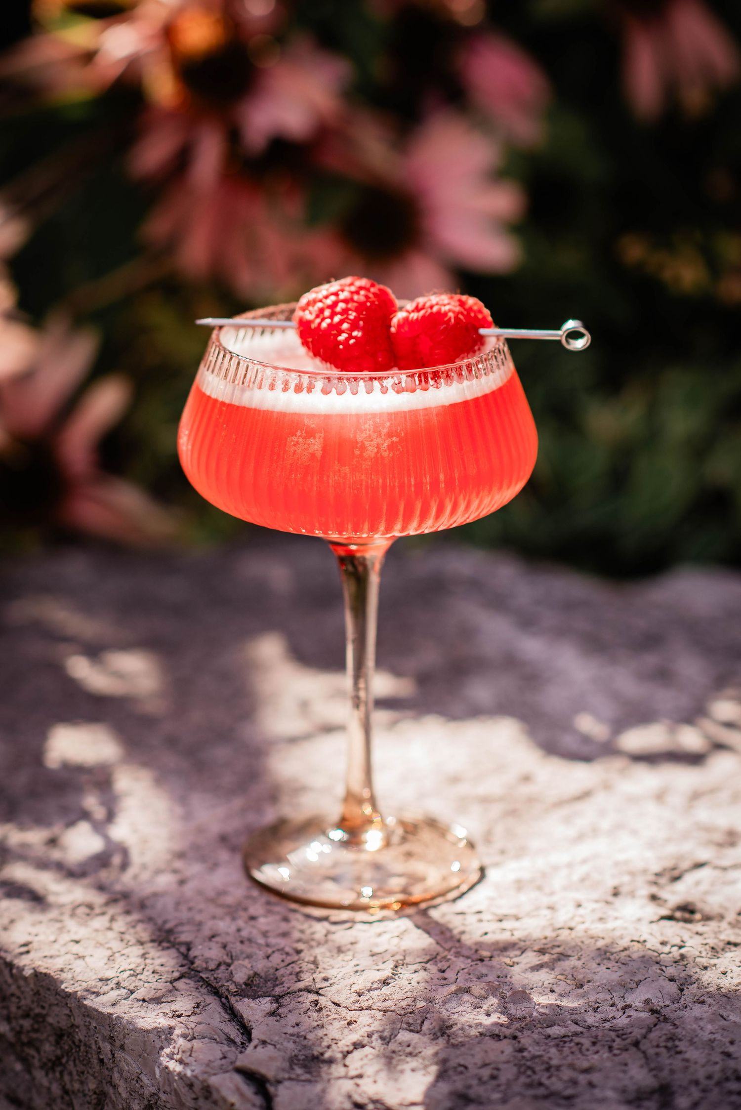 Photo of a custom cocktail taken during a branding session for Bitters Cocktails Co. based out of Orillia, Ontario