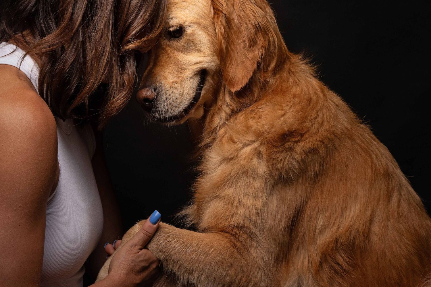 smiling woman and smiling man gently emrbacing their two golden retriever furbabies