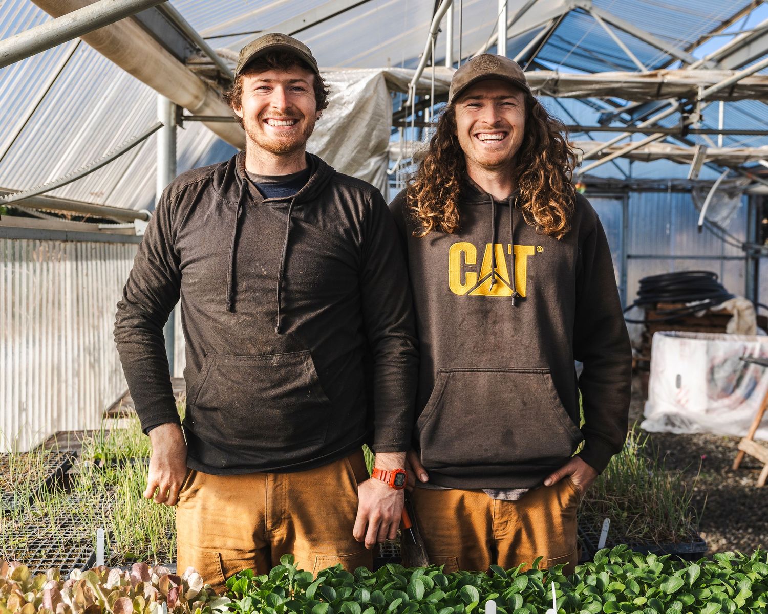 Farmers in brown overalls tend to crops in a greenhouse with leafy green plants growing in rows.