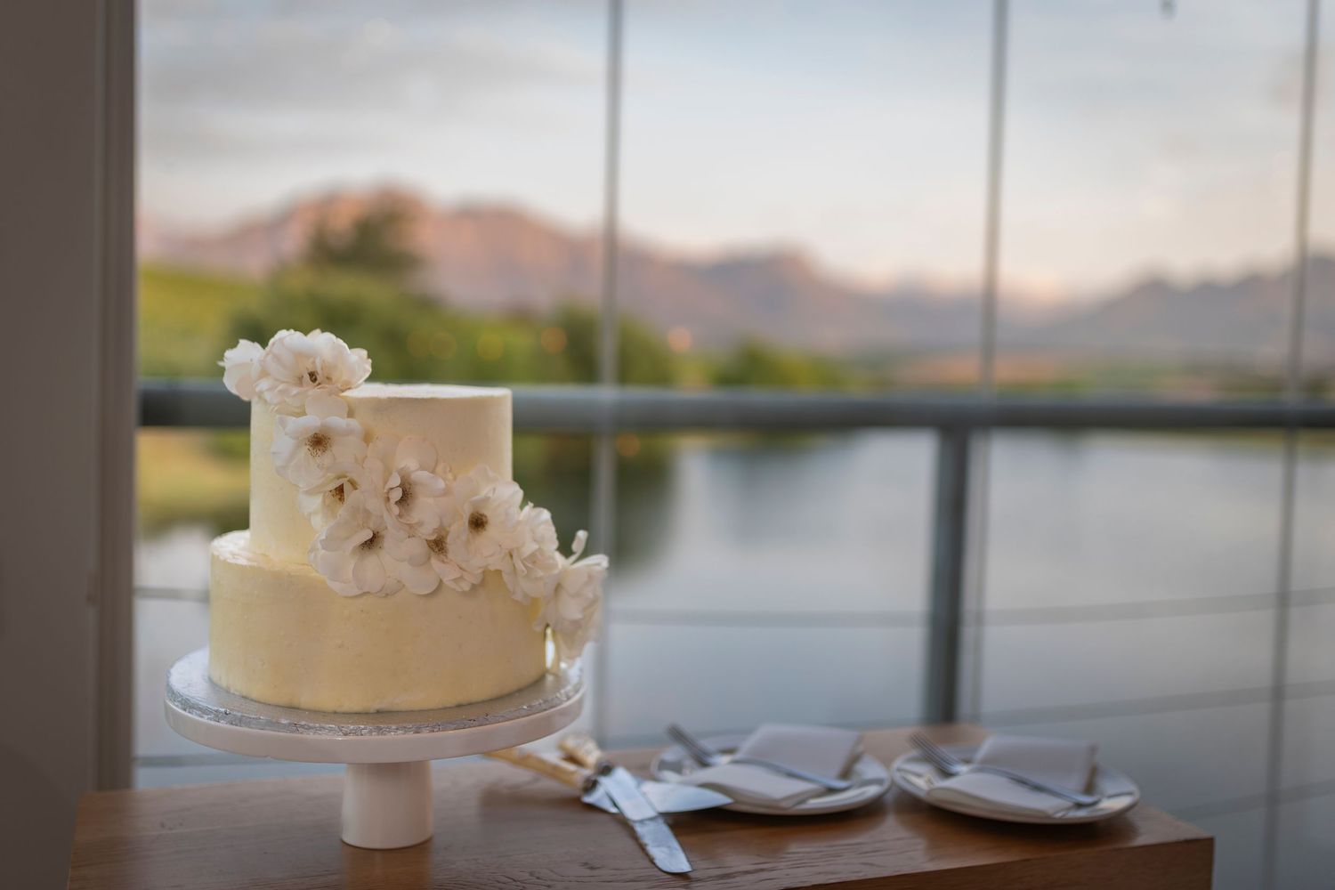 A white wedding cake with delicate floral decorations sits on a cake stand against a scenic waterfront backdrop.