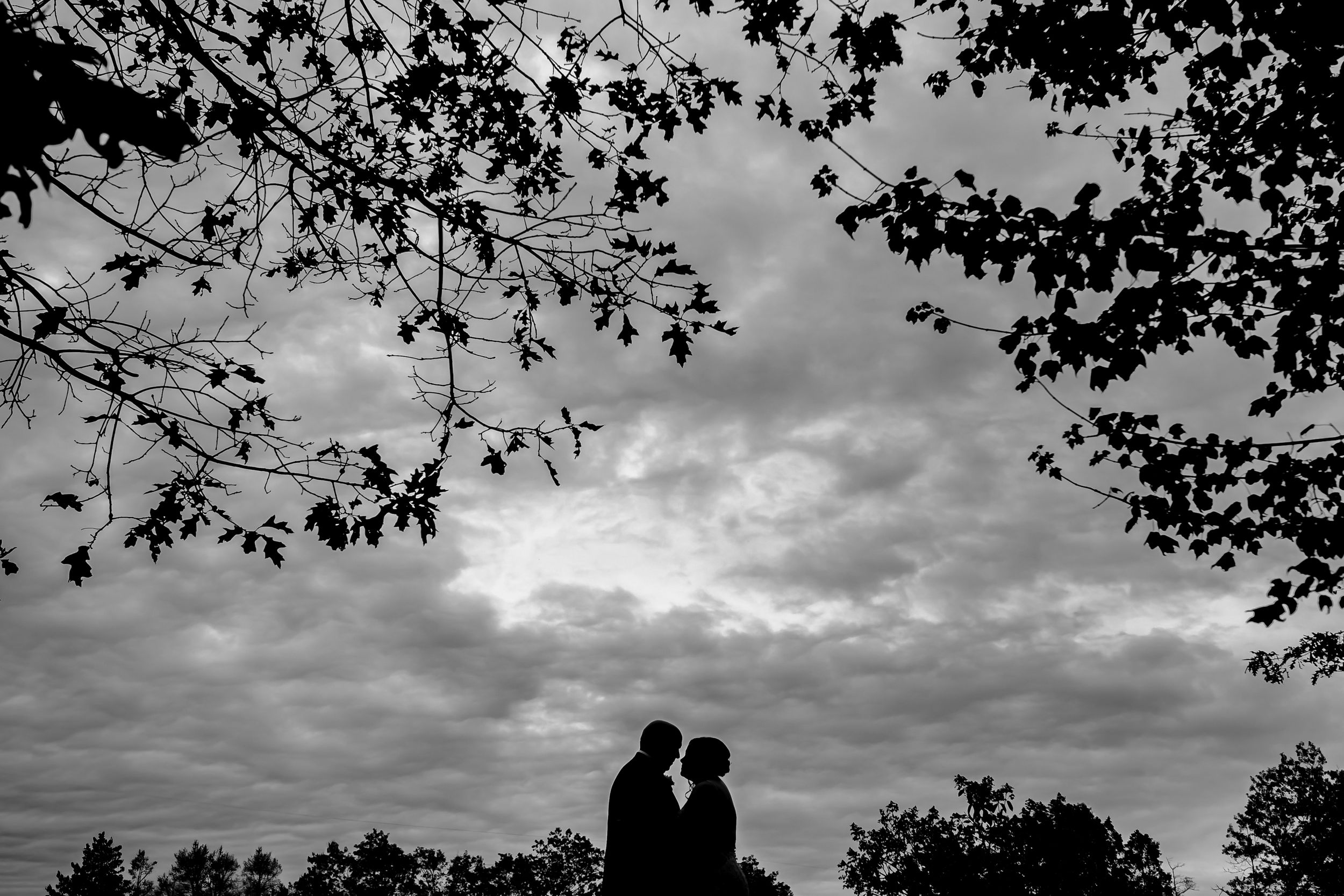 Romantic outdoor wedding photos with dramatic cloudy sky and tree silhouettes in the background.
