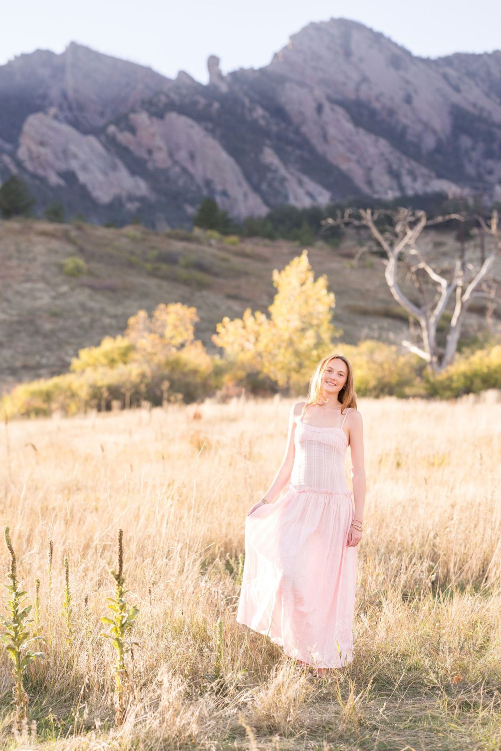 Dreamy sunset scene in a golden field with mountains and autumn trees in the background.