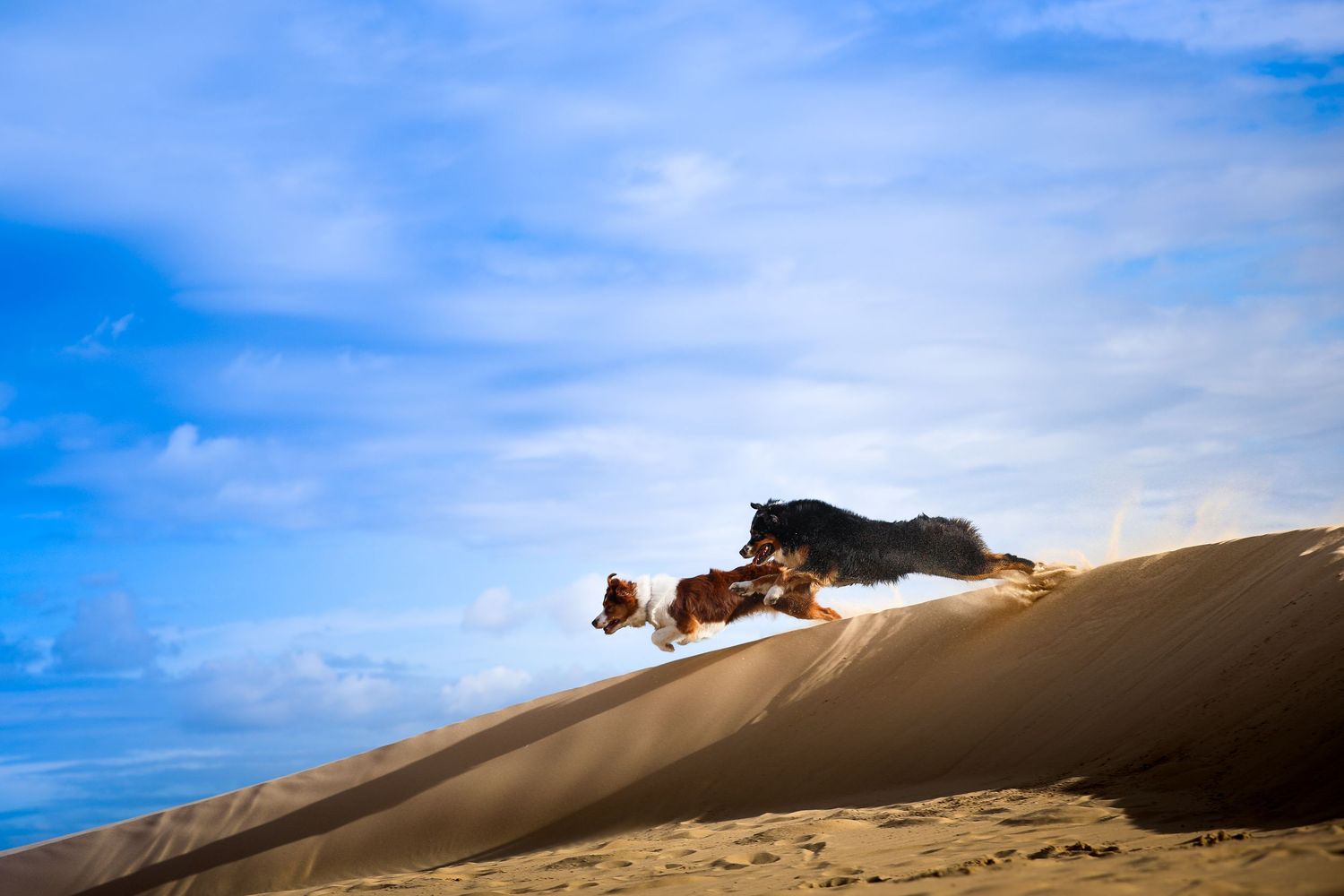 A 4x4 vehicle jumps over a sand dune against a bright blue sky in a dramatic desert landscape.