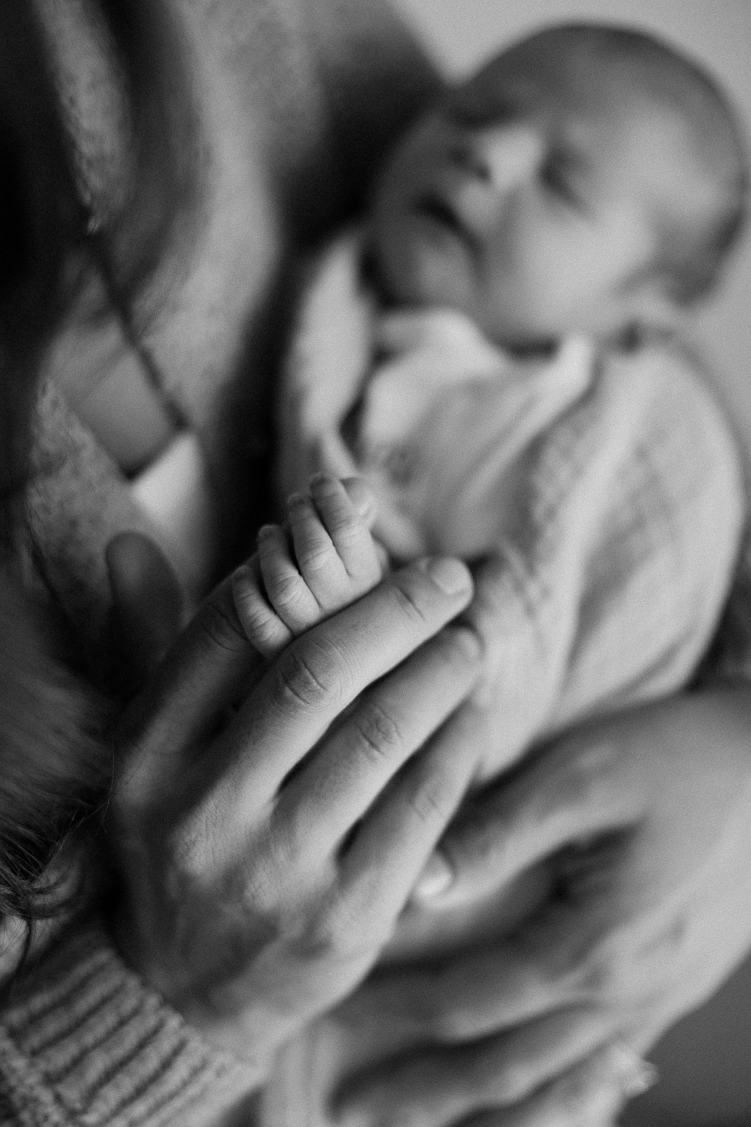 Family newborn pictures in Orange County studio with cozy natural tones