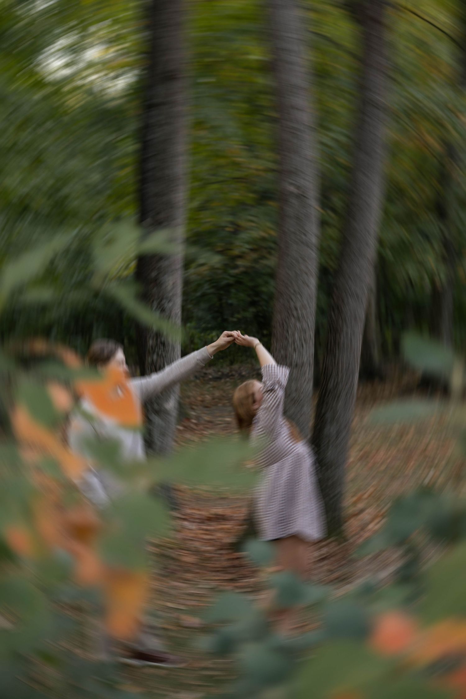 Fall outdoor golden hour engagement photos in Funks Grove, Illinois