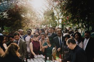 Guests mingle at a lush greenhouse wedding cocktail hour with warm sunlight streaming in.