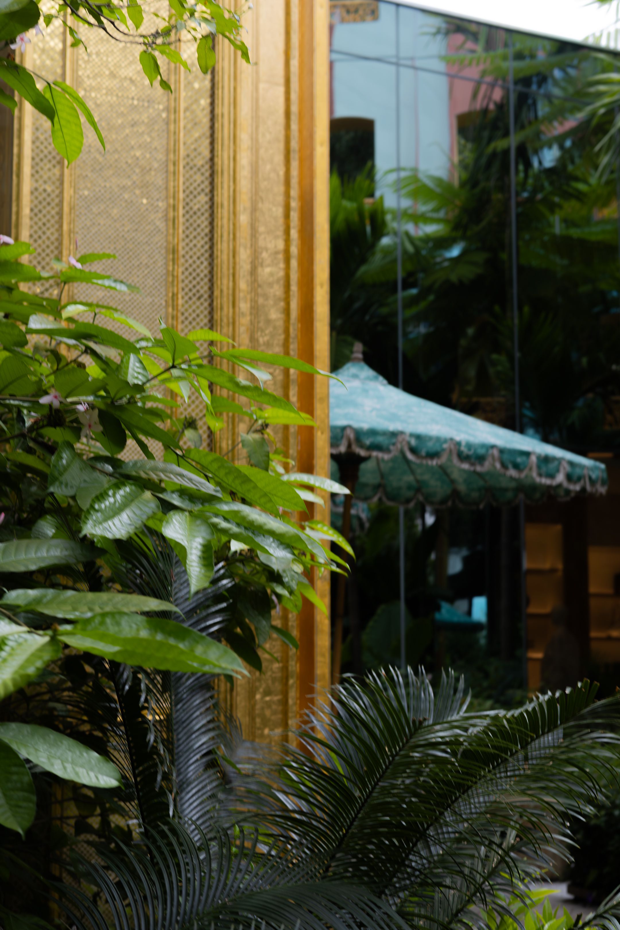 Lush tropical plants and palm fronds frame a window view of an elegant building exterior with ornate architectural details.