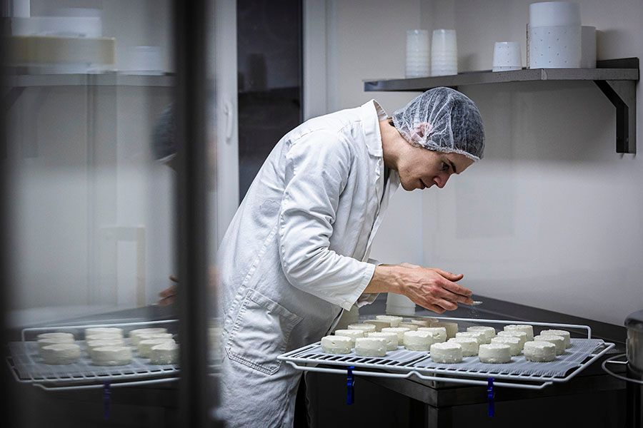Professional bakery worker inspecting pastries on metal cooling racks.
