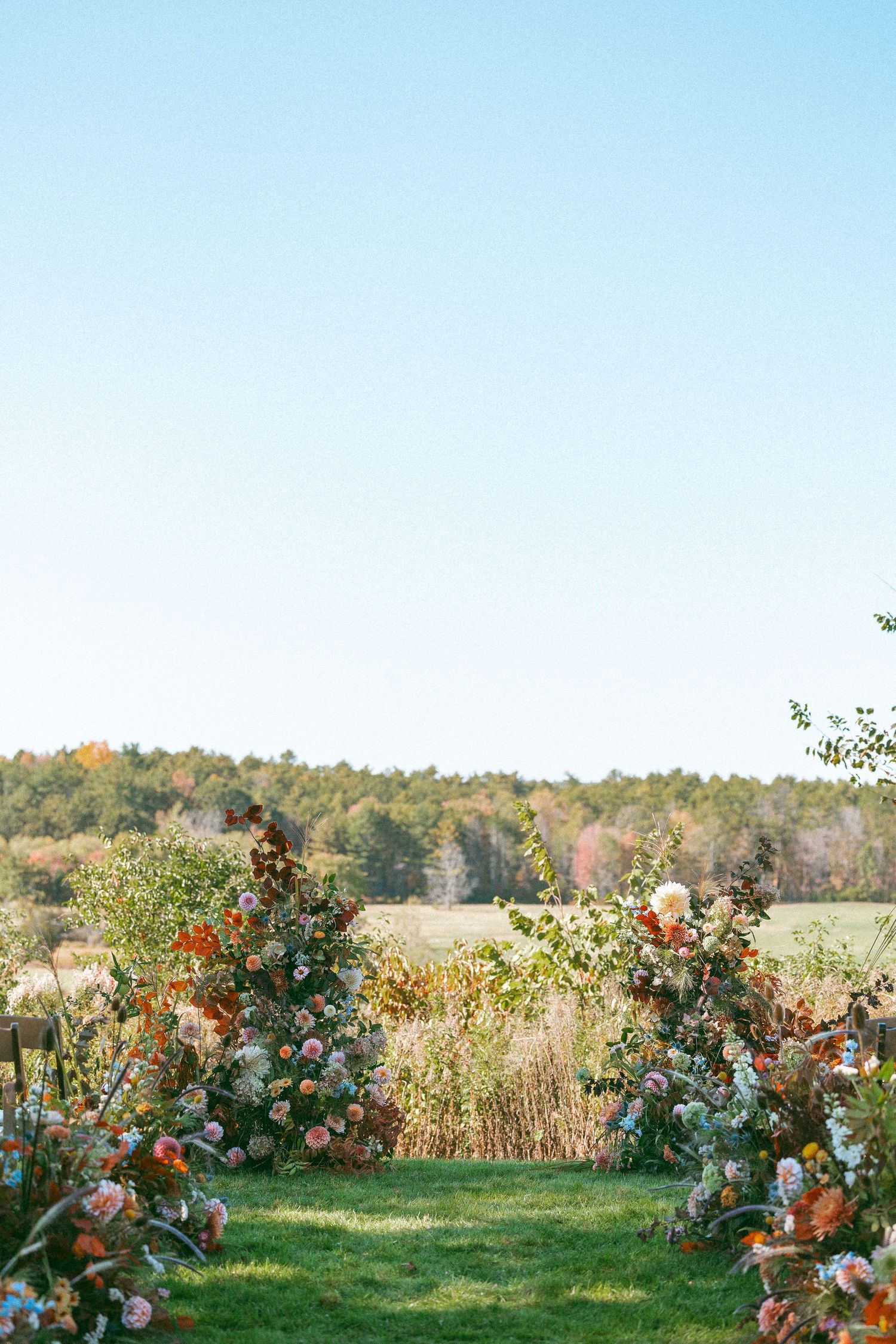 Autumn landscape with colorful flowers in the foreground and rolling hills in the distance.