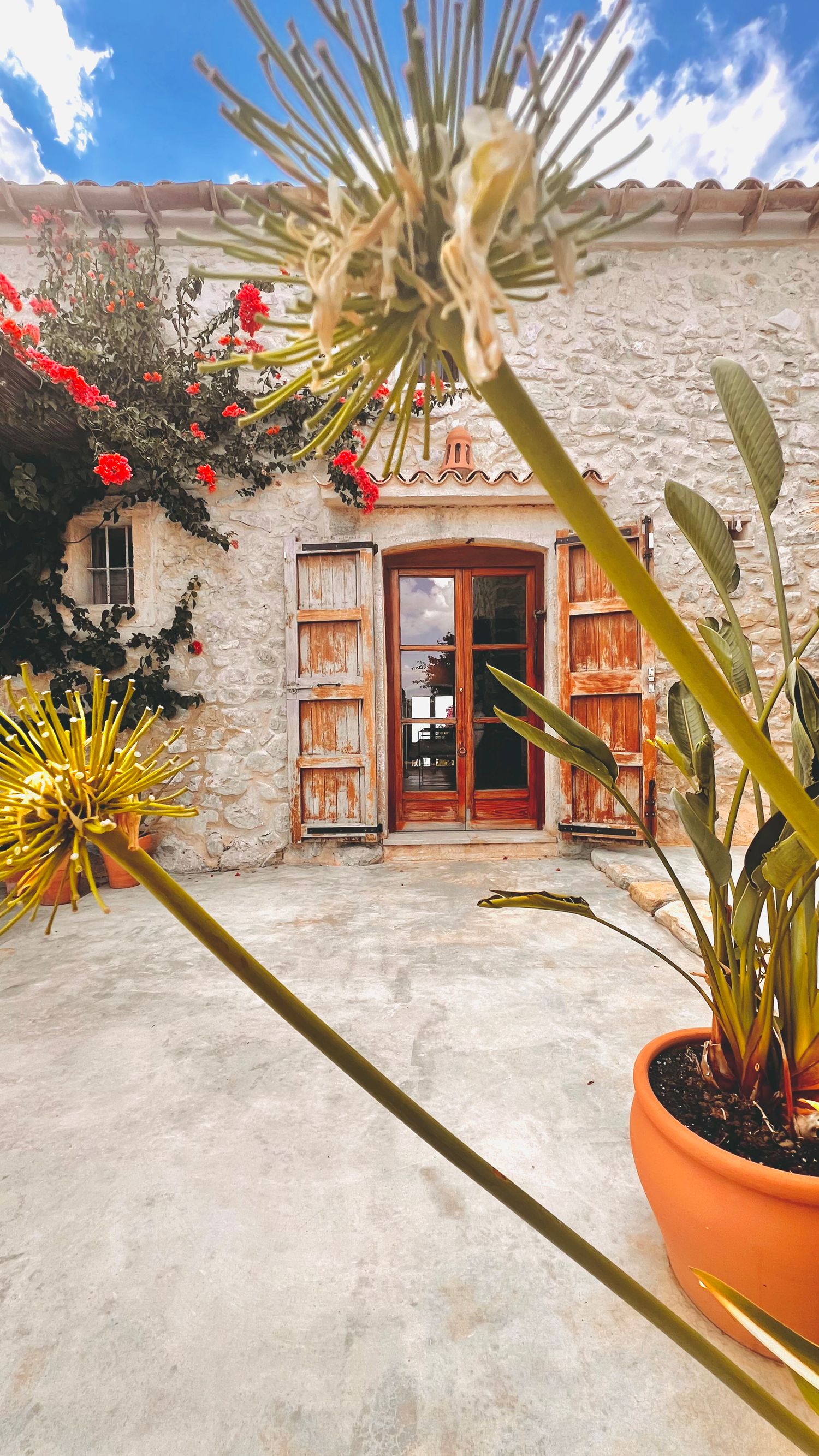 Stone wall facade with wooden shutters and red door framed by tropical plants and orange planters in Mediterranean style.