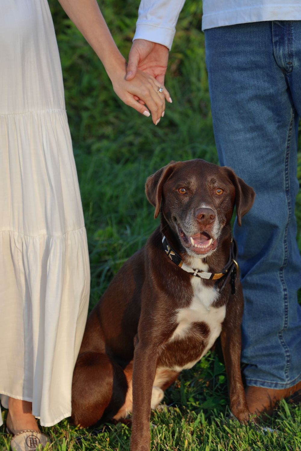Connecticut couples photoshoot. Couple standing in field showing off their engagement ring with their dog