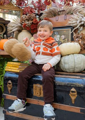 Autumn themed photo with pumpkins and fall leaves on rustic bench setting.