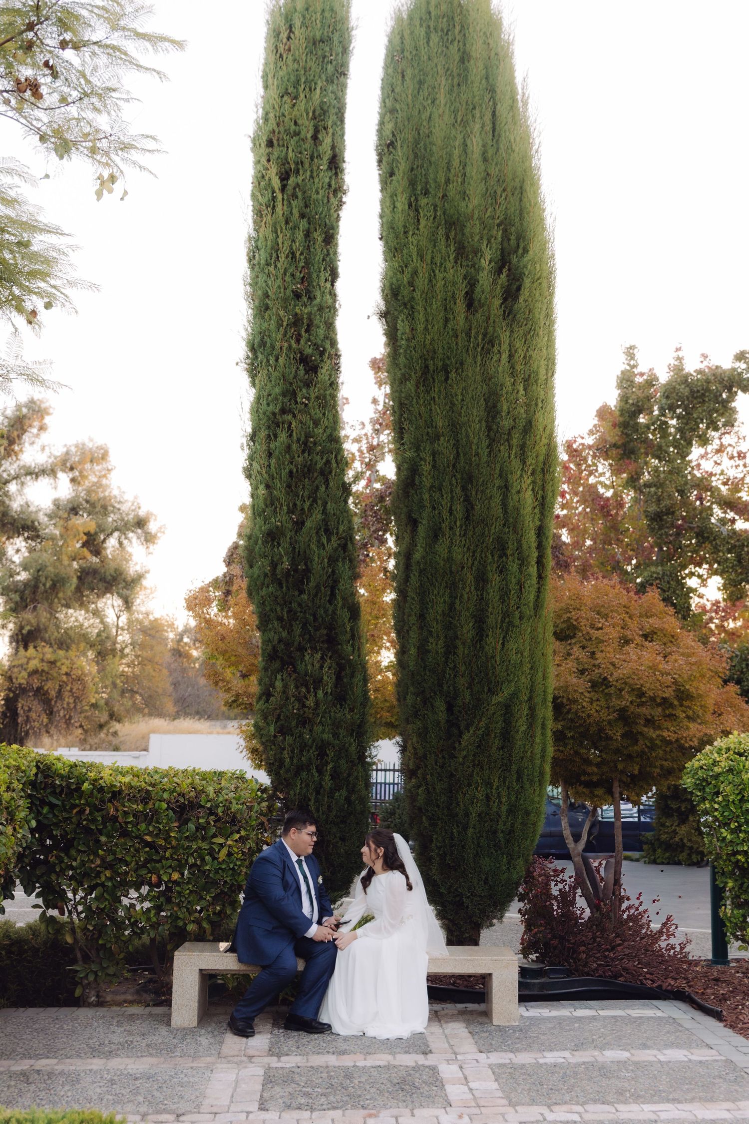 Bride and groom sitting on bench beneath tall cypress trees in autumn garden setting.