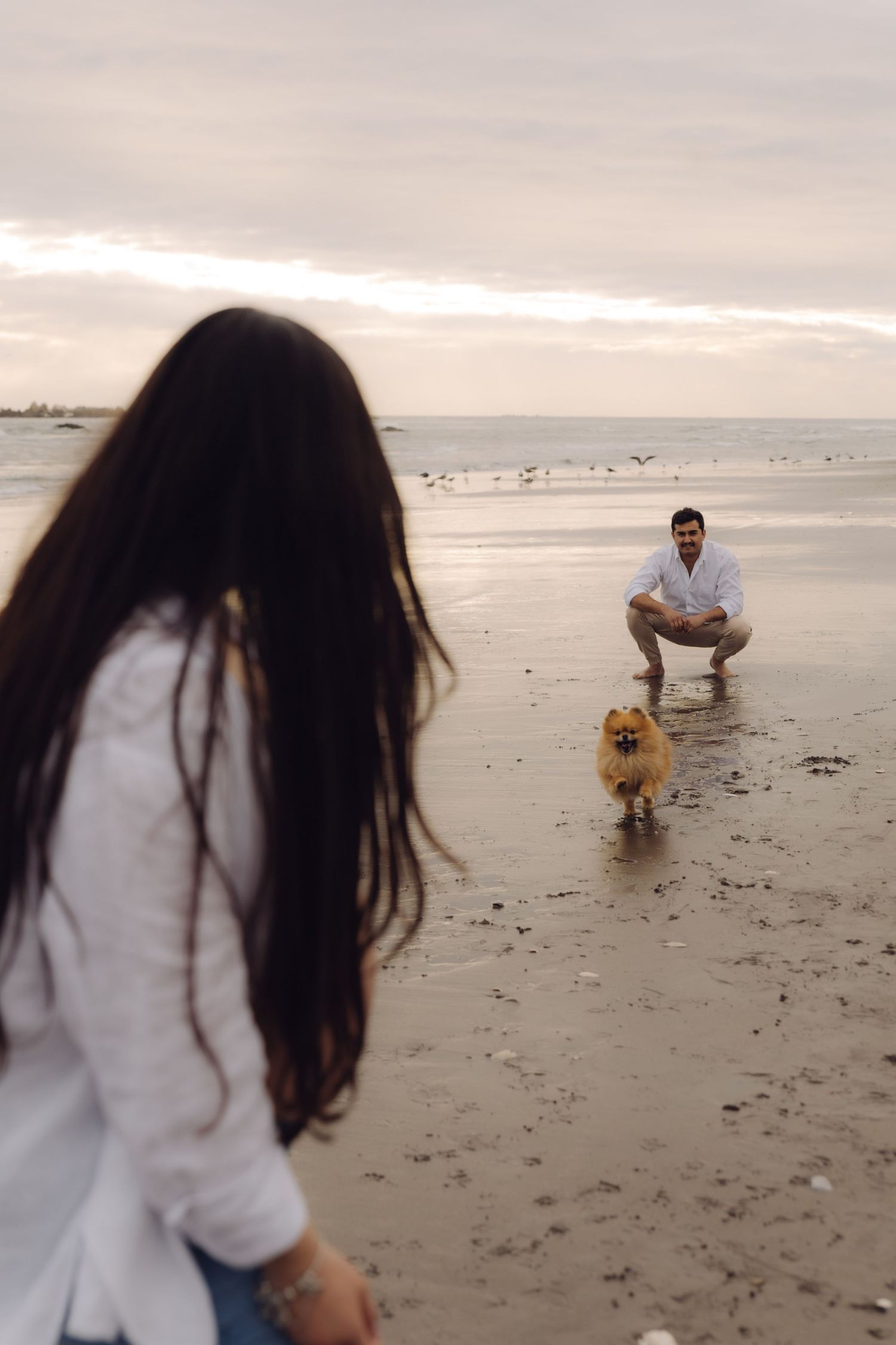 Man crouching on beach with small Pomeranian dog while woman watches.