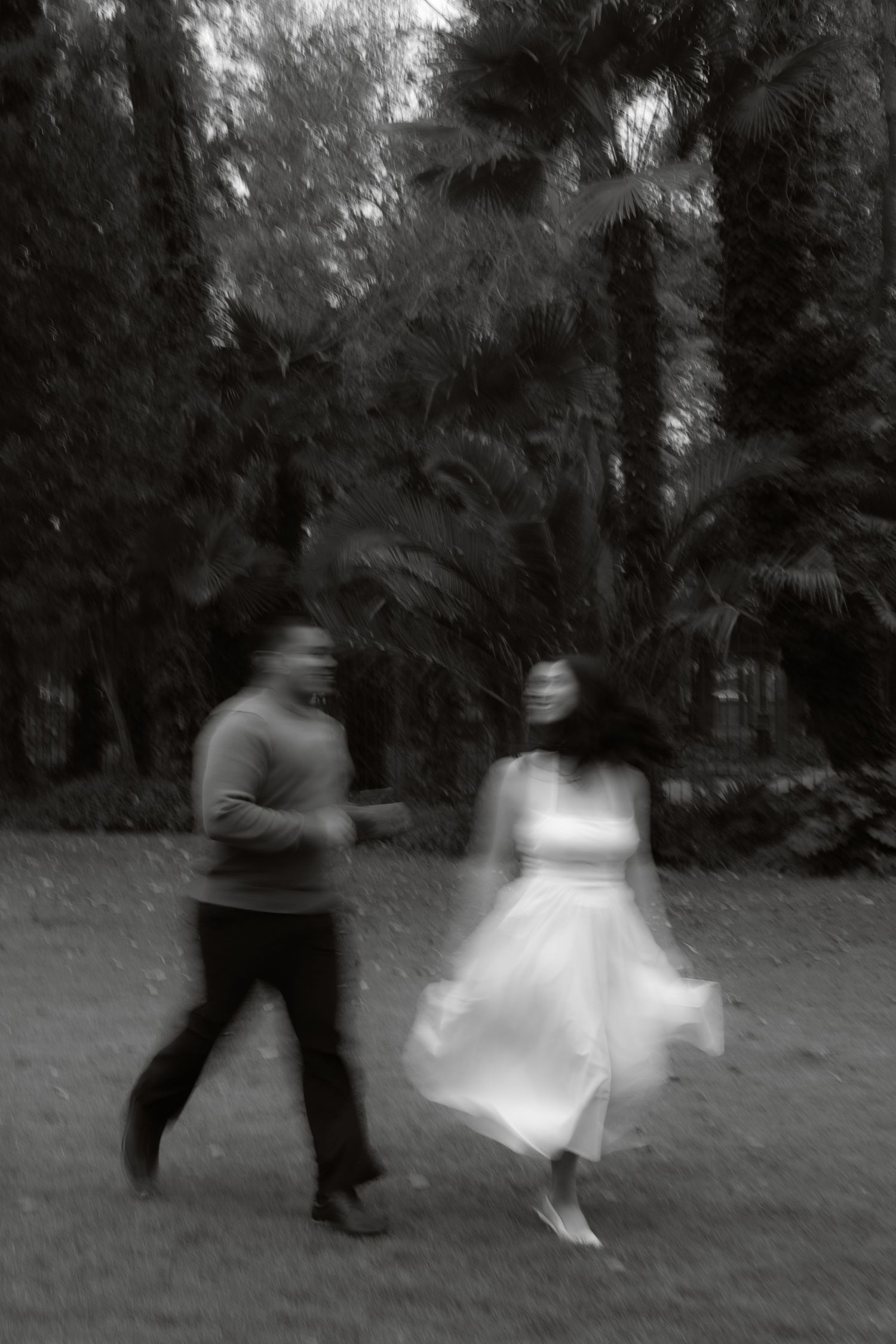 Artistic blurred black and white photo of a couple walking together in a lush tropical garden.