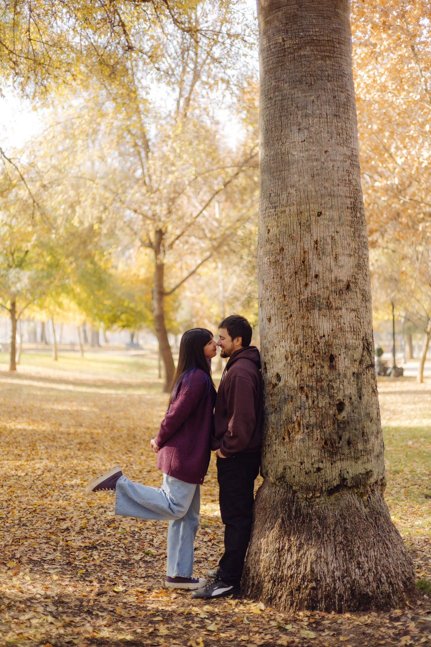 Couple sharing a kiss beside a large tree trunk in an autumn park with golden fallen leaves.