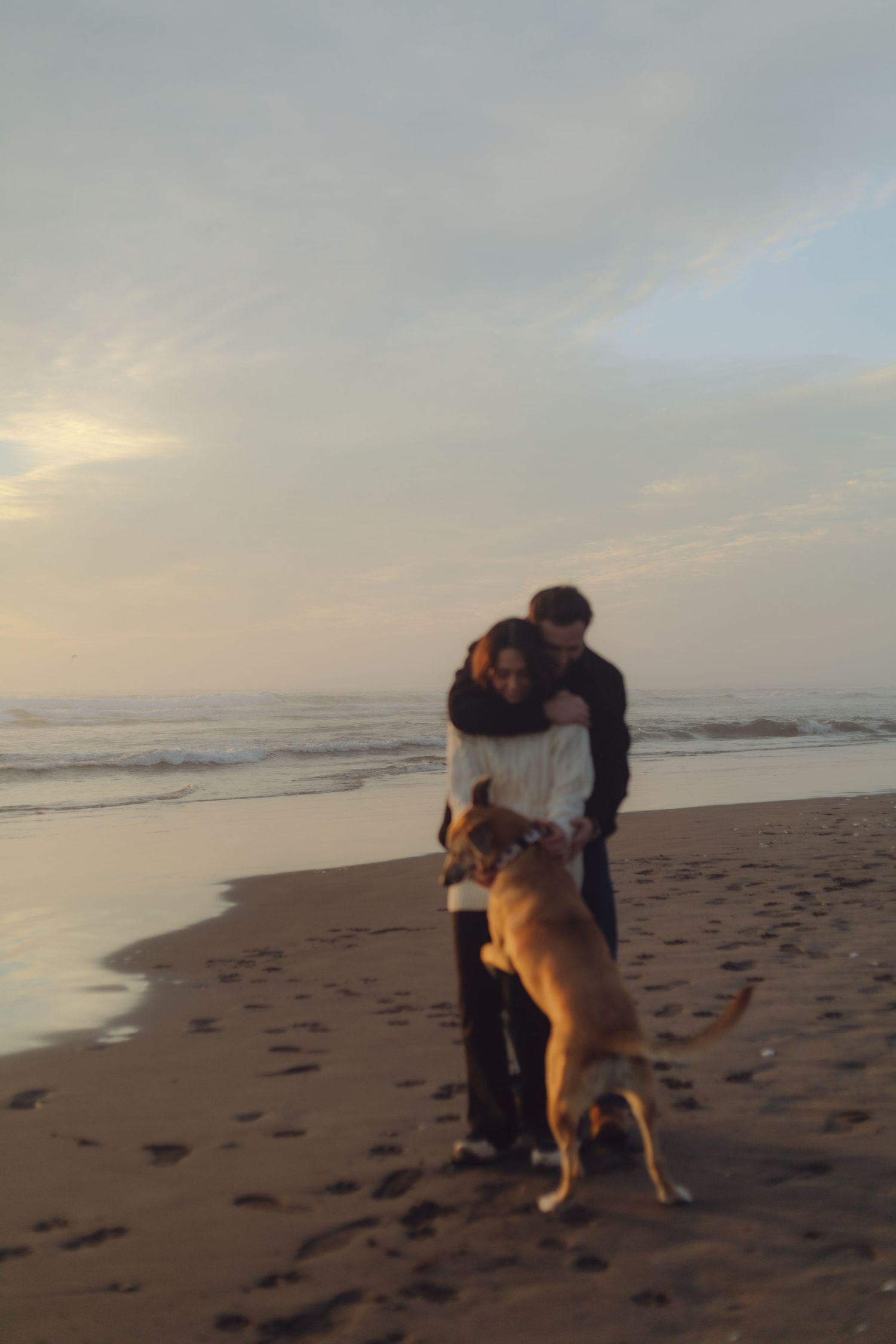 Couple embracing on a beach at sunset while a dog jumps up to greet them.