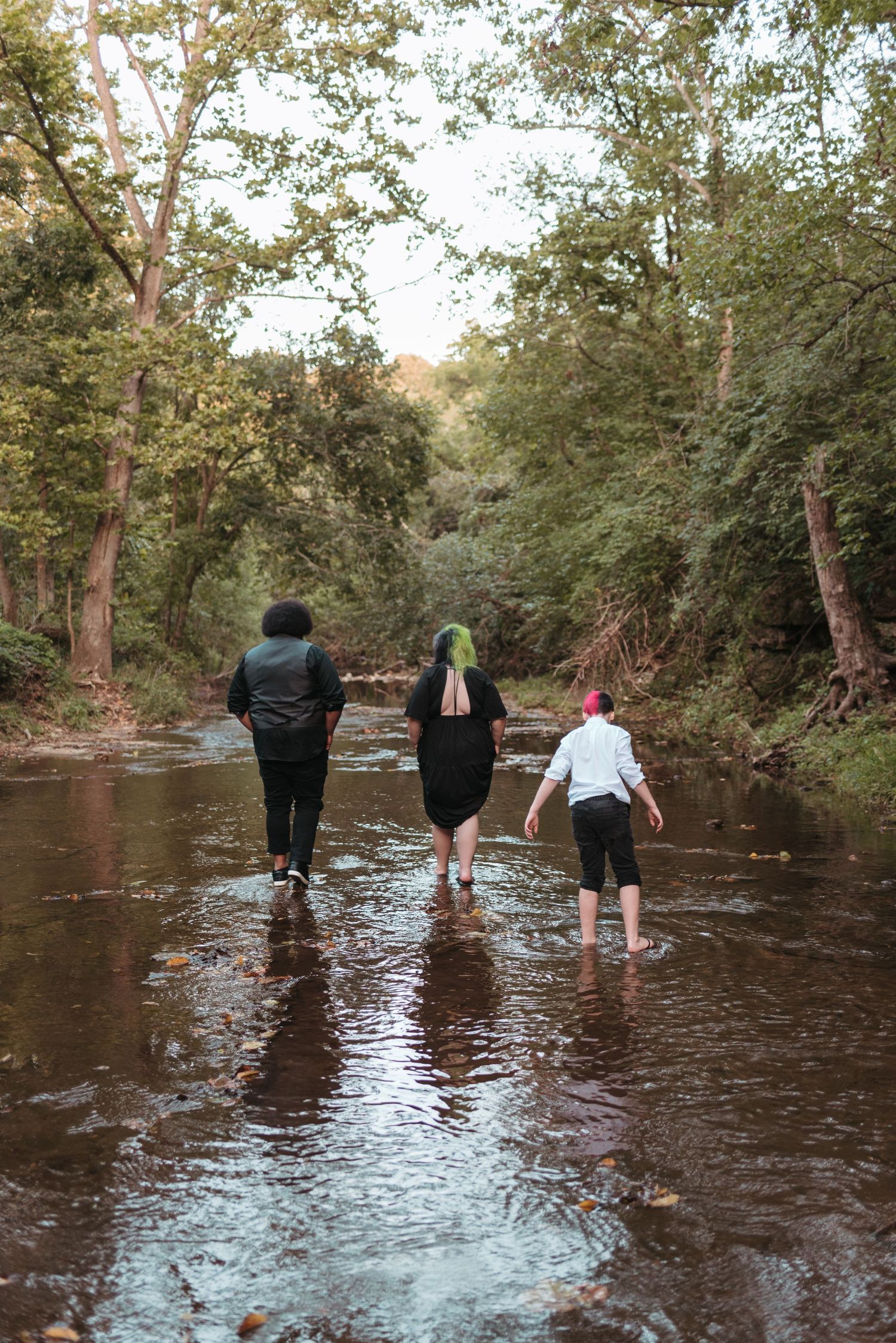 Three people wade through a shallow creek surrounded by lush green trees on a nature walk.