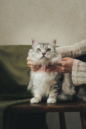 獨寵套餐