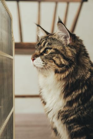 獨寵套餐