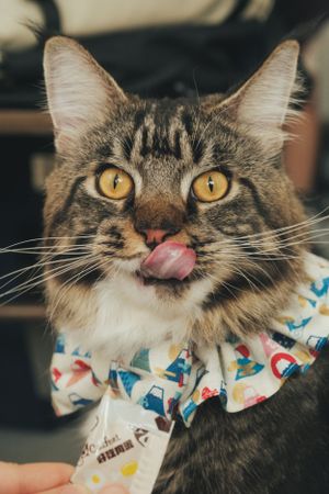 獨寵套餐