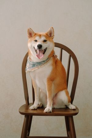 獨寵套餐