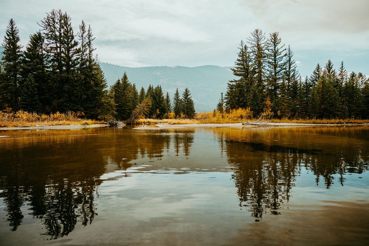 Panoramic view of a frozen lake surrounded by pine trees reflecting in still water.