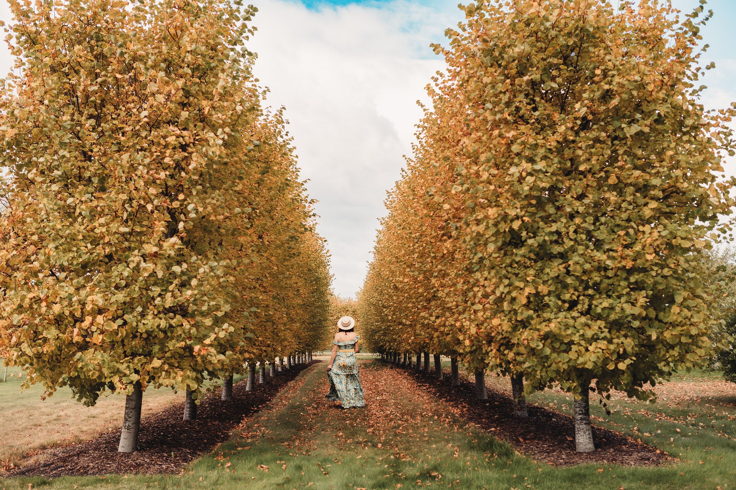 autumn in Tasmania captured by air bnb photographer Joss Jensen