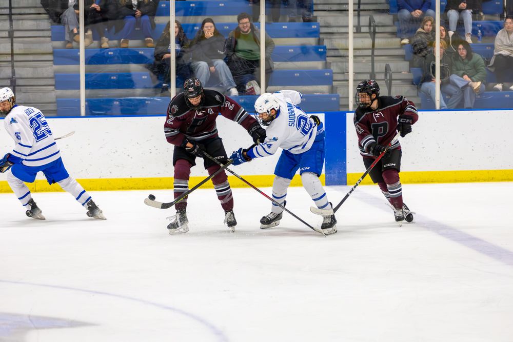 Hockey players battle for puck control in competitive game action.