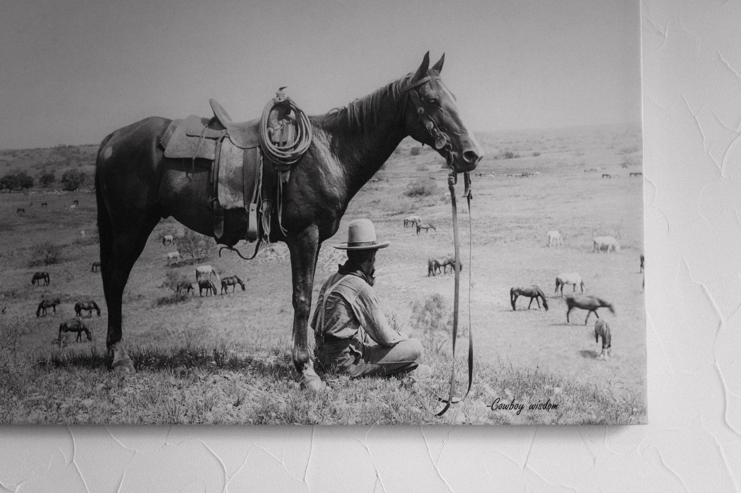 A vintage black and white photograph shows a cowboy resting beside a saddled horse on open rangeland with grazing horses behind.