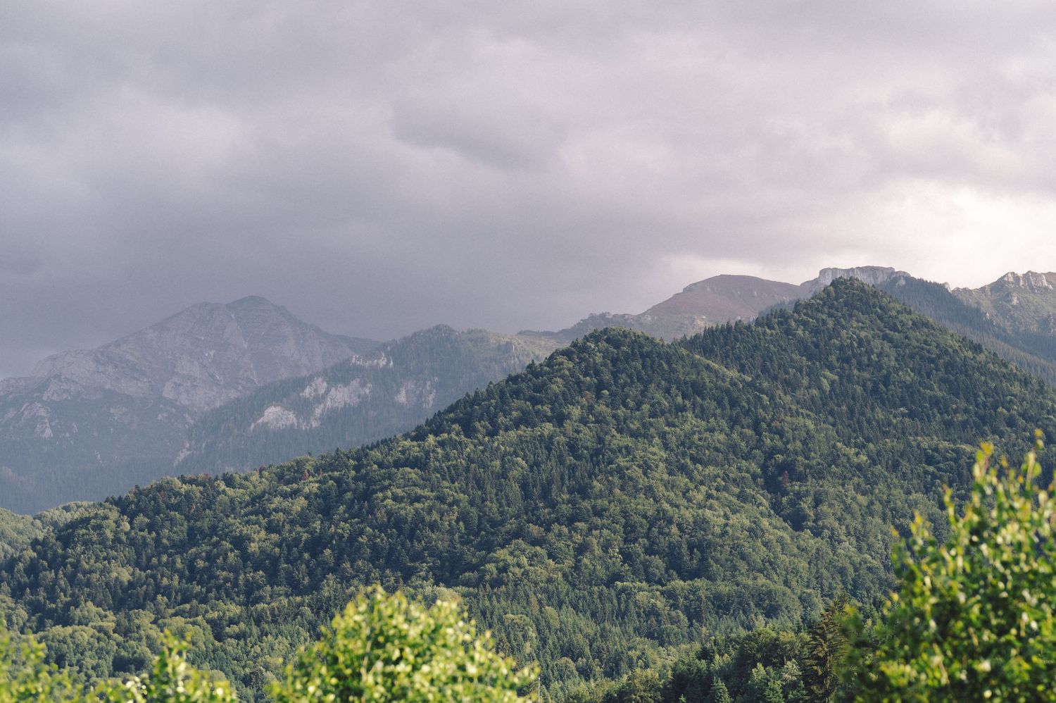 Mountain range with lush green forested slopes under cloudy skies in a scenic natural landscape.