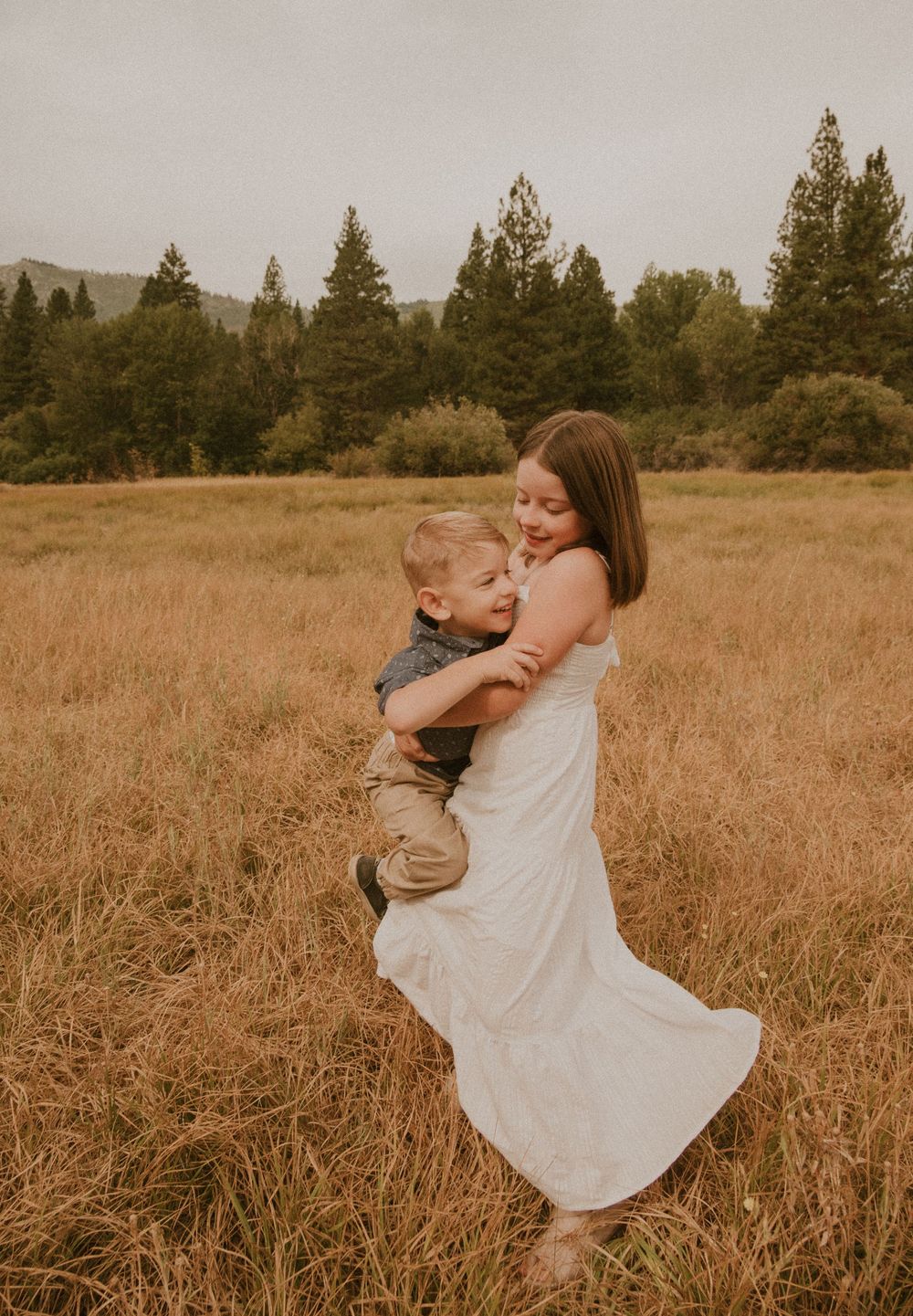 A tender moment captured in a golden field with warm sunlight and pine trees in the background.
