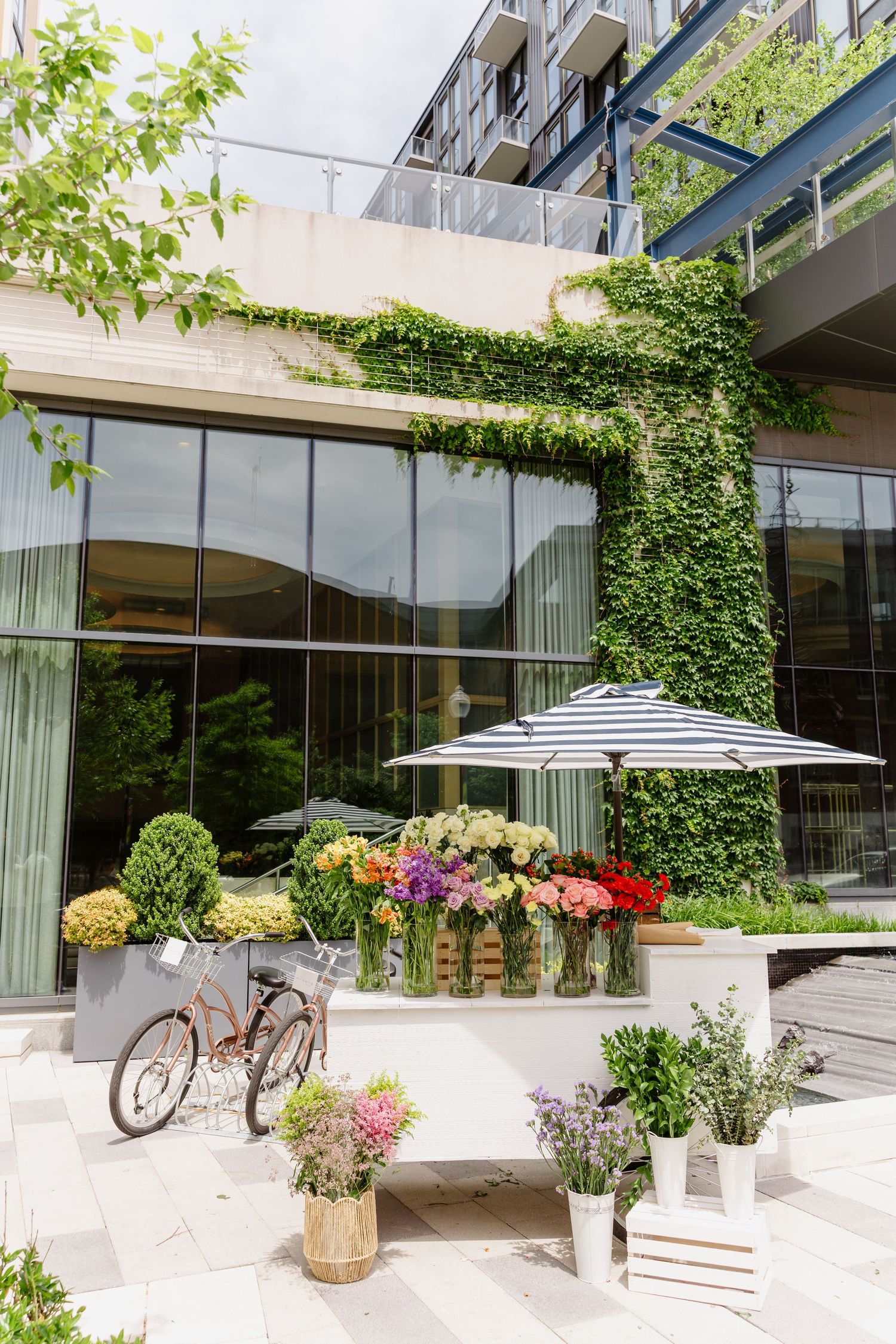 Charming cafe storefront with climbing ivy, striped umbrella, bicycle, and colorful flower arrangements on display.