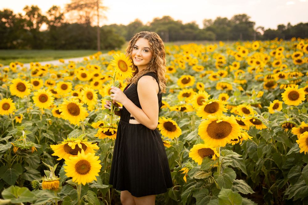 A black dress stands out against a vibrant field of blooming sunflowers at golden sunset.