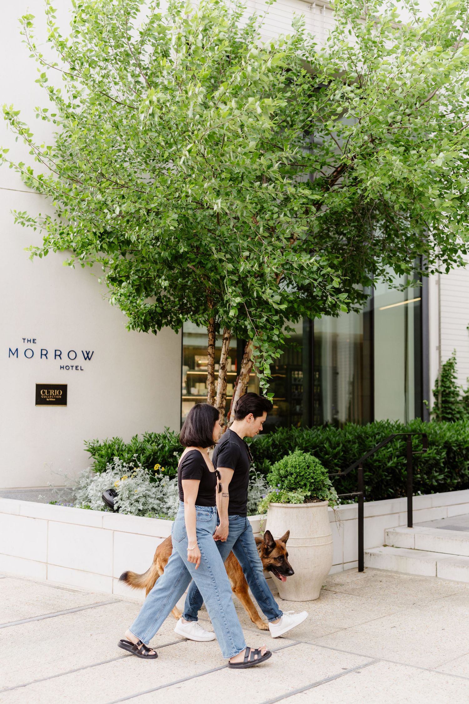 Couple walking with their German Shepherd dog along a white painted building exterior with trees and landscaping.
