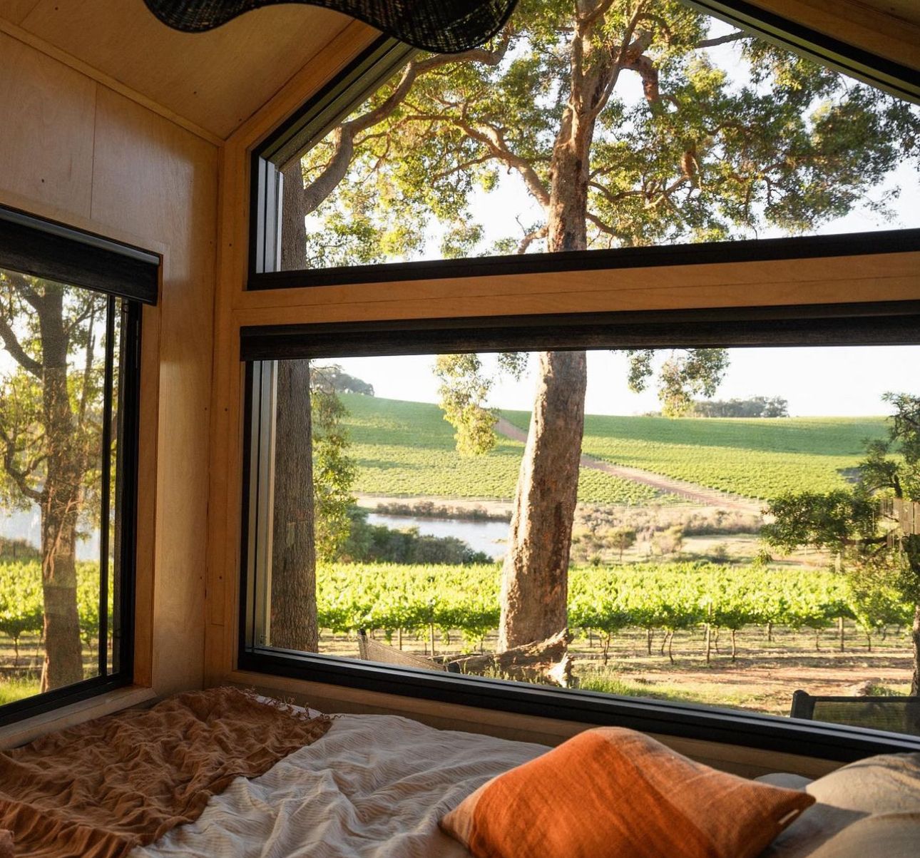 Interior view of a luxury camping pod with large windows showcasing vineyard views.
