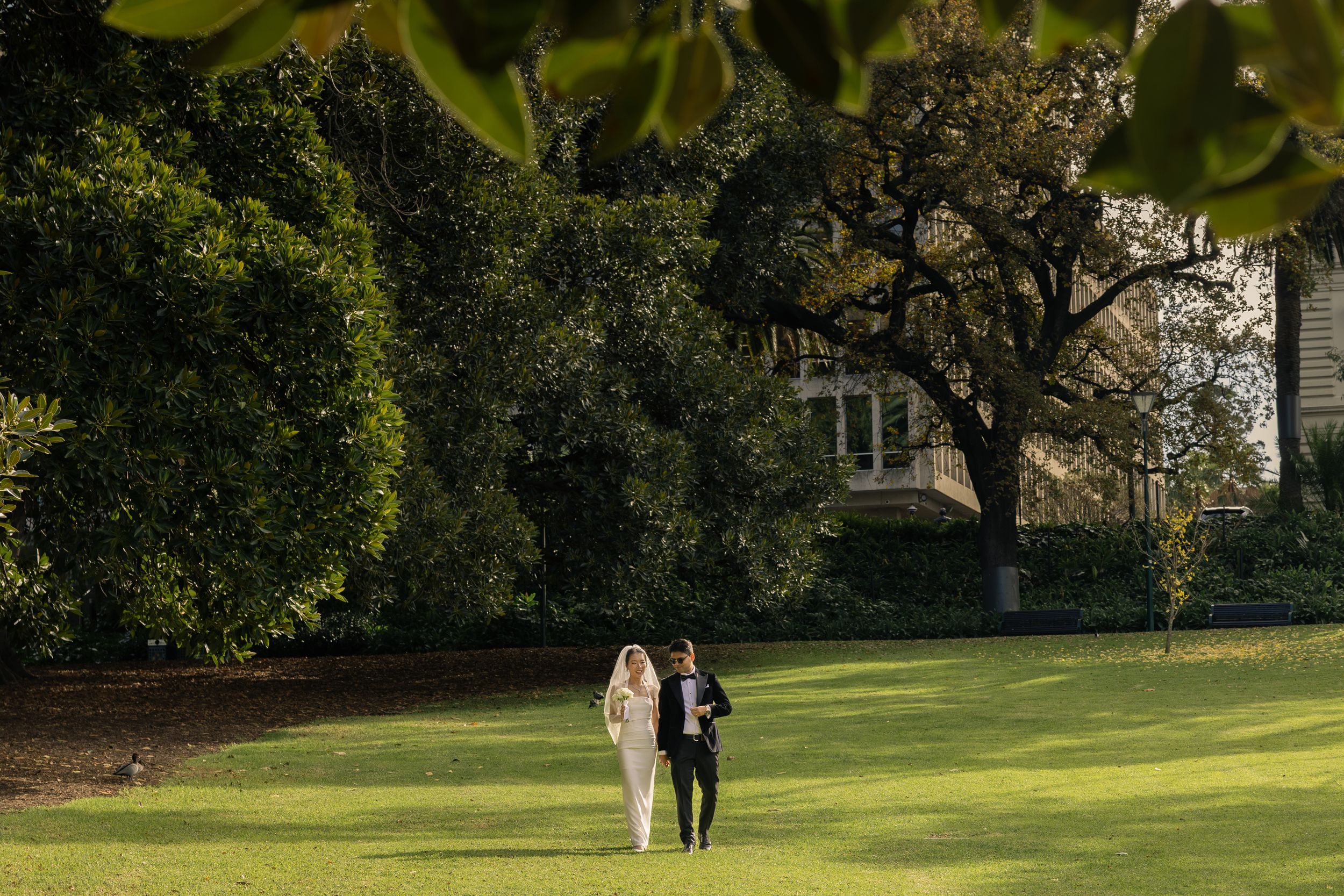 Two figures walk together on a sunlit lawn surrounded by lush green trees and landscaping on a warm afternoon.