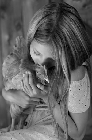 Little girl kissing a chicken.