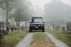 Dog running next to land rover in a cemetery,