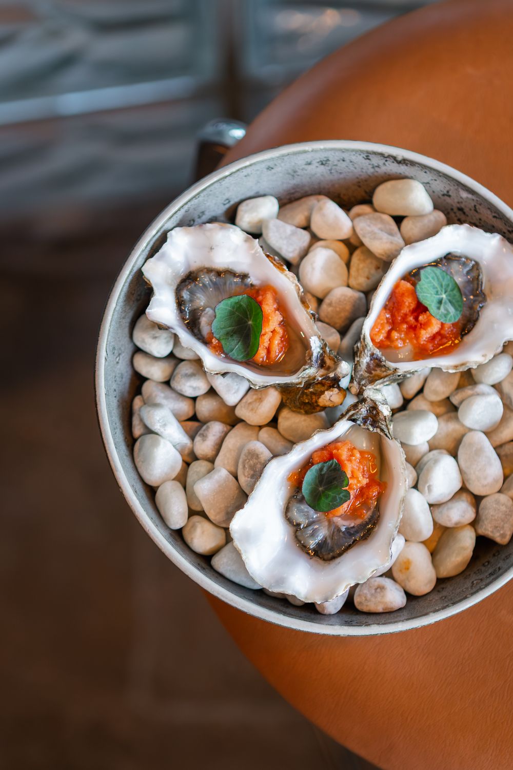 Fresh oysters garnished with caviar and herbs served on white stones in an elegant presentation.