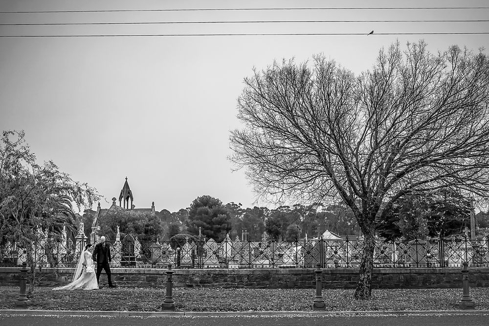 A panoramic series of black and white wedding photographs showing outdoor scenes with trees and buildings.