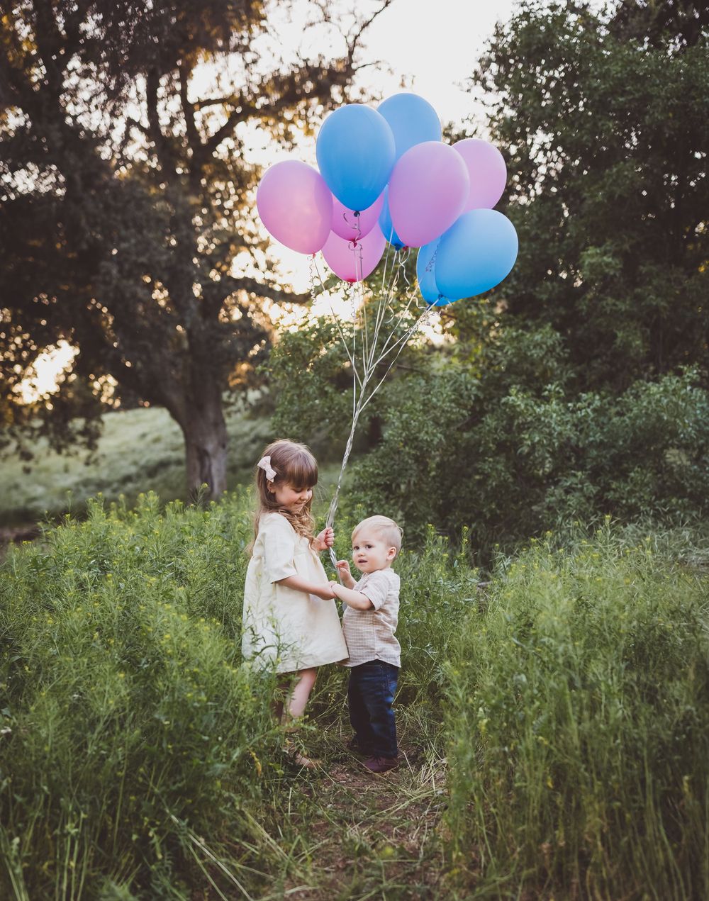 Outdoor photo session in tall grass field with pink and blue balloons at sunset.