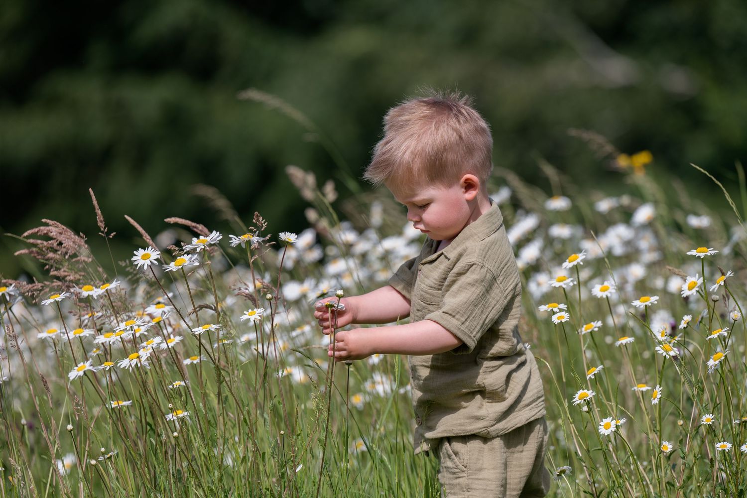 Familie, kinderen, portret, fotoshoot op locatie (Vlaams-Brabant), fotograaf Halle