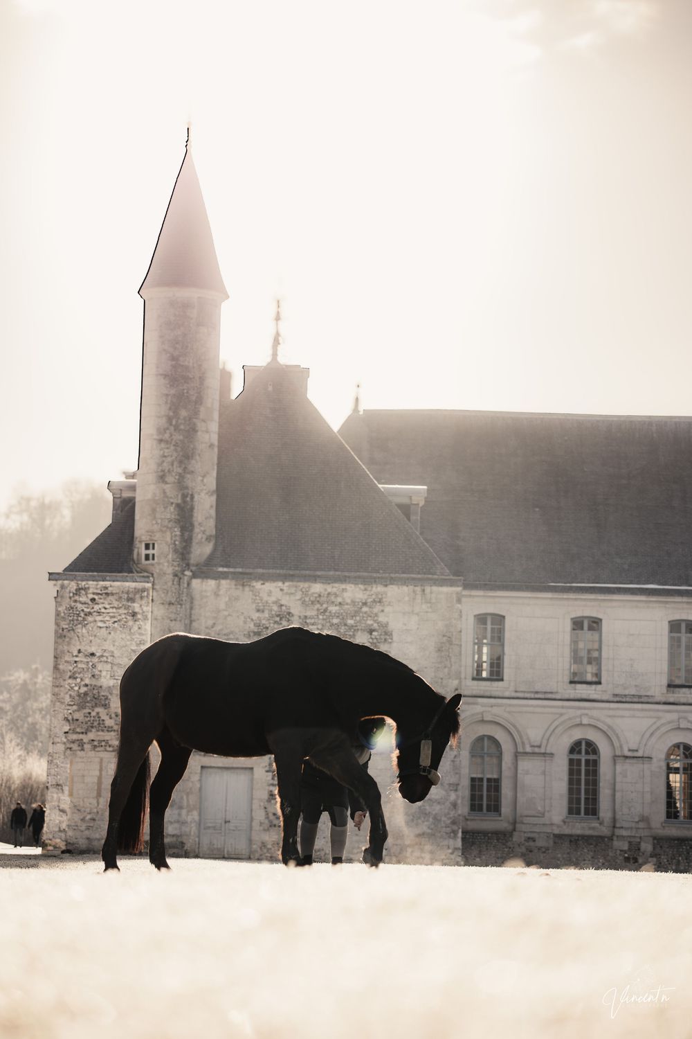 Three black horses graze in a misty field near a historic stone chateau with towers in France.