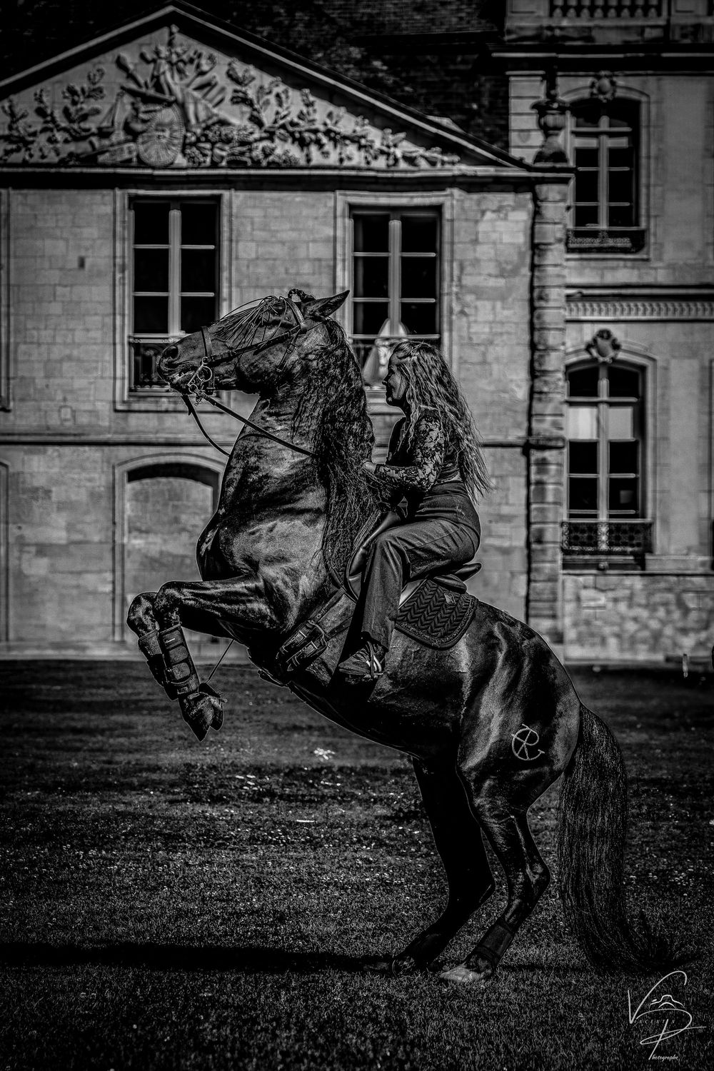 Dramatic black and white capture of horse riders performing daring stunts at a historic venue.